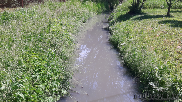 W związku z zanieczyszczeniem rzeki Zimna Woda przez oczyszczalnię, WIOŚ zawiadomił prokuraturę
